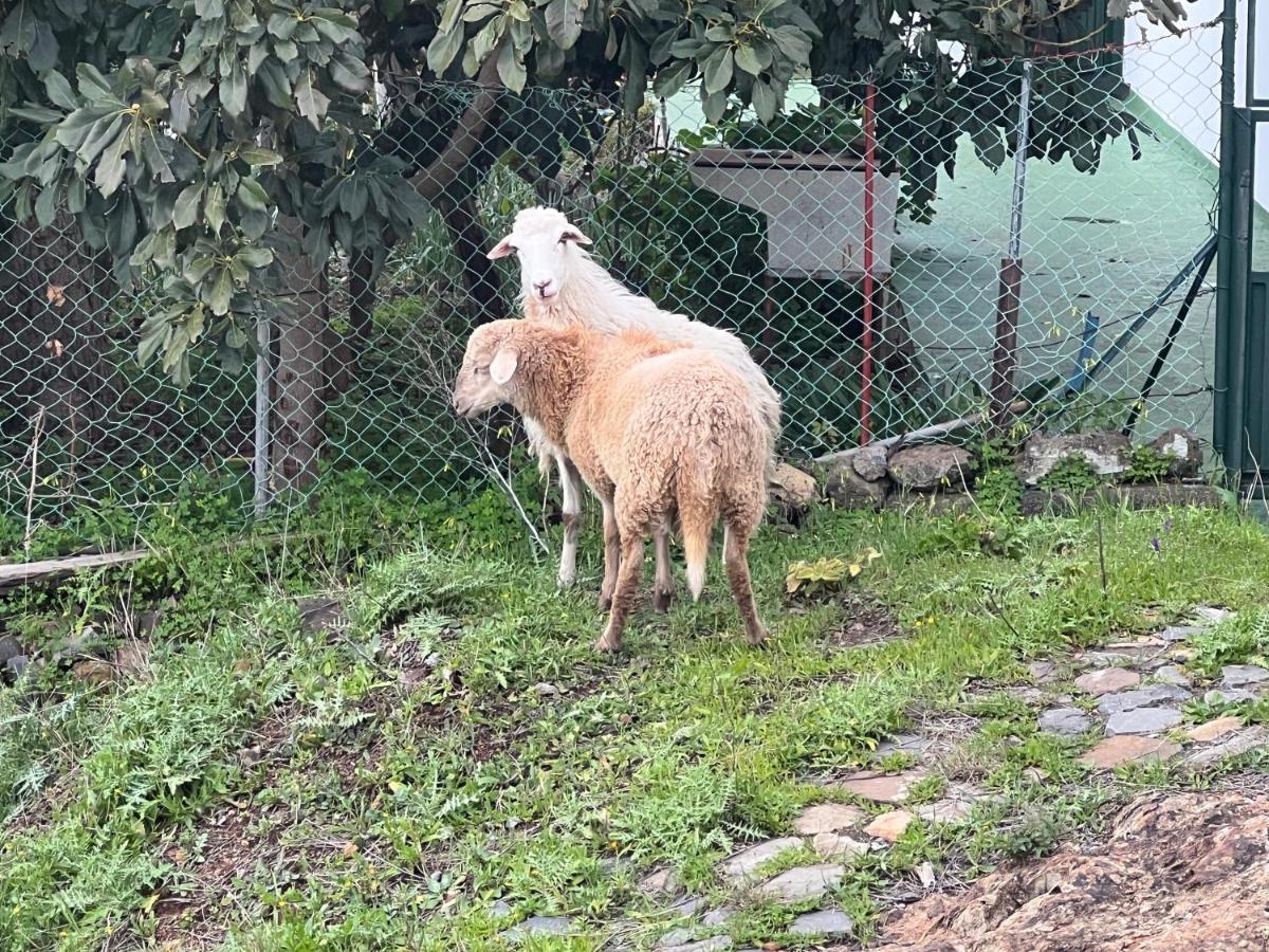 Fincasol San Sebastián de la Gomera Zewnętrze zdjęcie